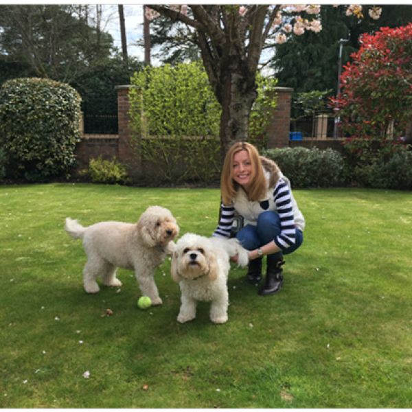 Meet The Team - 740 Dental